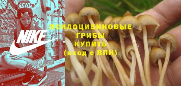 экстази Алексеевка