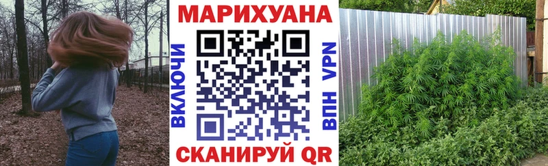 Марихуана SATIVA & INDICA Саки